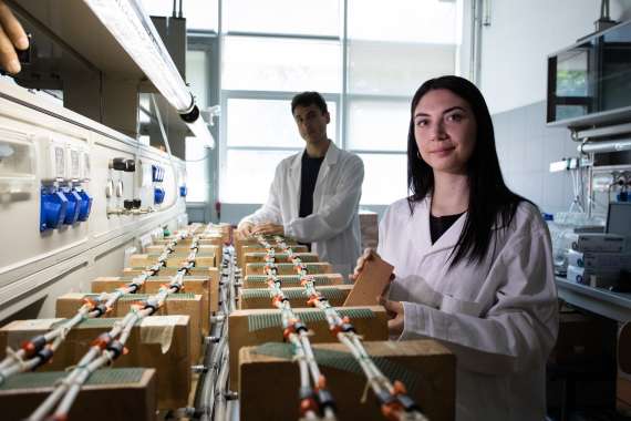 Exploring Soft Materials: From Molecules to Biomaterials. Bolonia, Italia, 29 de junio al 3 de julio de 2026. Solicita tu admisión hasta el 13 de marzo!